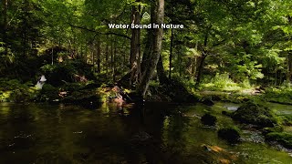 【癒しの水音】ゆるやかに流れる川音。鳥のさえずり。環境音。