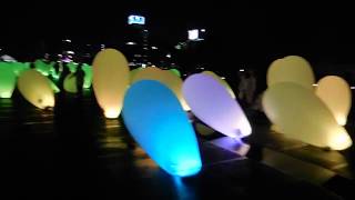 JAPAN HIDDEN LED festival in Tokushima