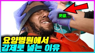 대부분 모르는 콧줄(L-tube) 넣는 이유