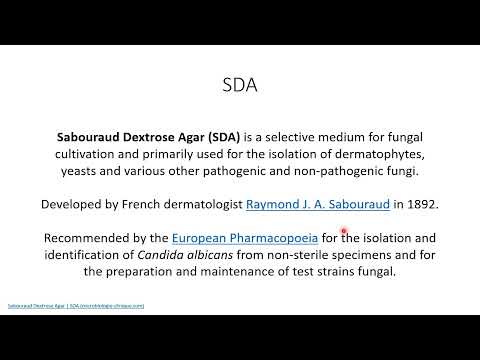 What bacteria grows on sabouraud?