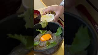 【お昼ご飯】生しらす丼美味しそ〜😋