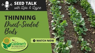 Seed Talk #27 - Thinning Direct-Seeded & Self-Sown Beds of Seedlings