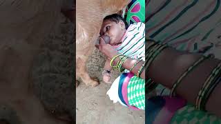 #Maa #Beti #Choti_Bacchi #Maa_Ka_Pyar #New #Viral #Emotional छोटी सी बच्ची बकरी का दूध पीते हुए