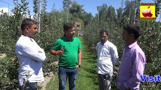 orchard at kashmir