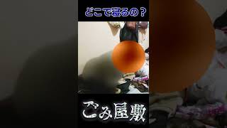 【ゴミ屋敷】家の外観は“フツウ”の「隠れゴミ屋敷」急増！「ゴミをため込んだワケ」 part4 #ゴミ屋敷#片付け#ゴミ#断捨離#ダニ#どうやって #abcテレビ#shorts