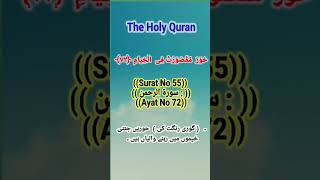 talwat Quran Pak/Urdu tarjam Translation/Only Arabia text Quran #quran #القران #pakistan