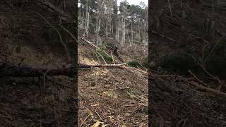 Kumpelz Fun Friends Riding Mx mtb fmx smx pitbike Heiligenstadt trails