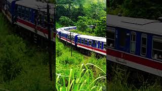 🚆 Train Passing Through Galboda Station | Scenic Sri Lanka Railway