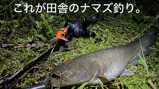 (初投稿)友達とナマズ釣り！