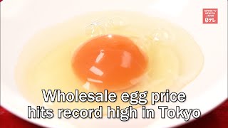 Wholesale egg price hits record high in Tokyo