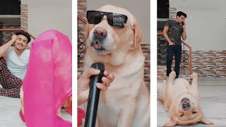 latest Dog comedy videos🤣 | viral🥴 | funny😂 | sharabi🍻 | singing dog🐶 | Anant rastogi