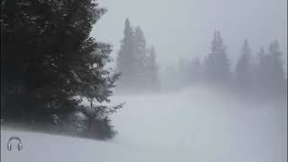Эпическая метель Воет вьюга Звуки сильного ветра и снега Идеальные звуки для сна