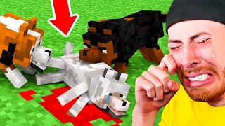 *SADDEST* Minecraft Animations (You Will Cry)