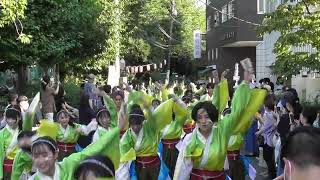 おどりんちゅ　2022原宿スーパーよさこい　代々木の杜ぼんおどり