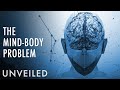 Where Does Consciousness Come From? | Unveiled