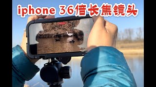 iphone手机如何使用36倍高清望远镜镜头