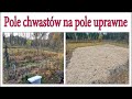 Pole chwastów na pole uprawne. Usuwanie chwastów, nawożenie i ściółkowanie - Ogarnąć ogród 15