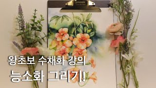 수채화로 그리는 능소화! | draw with me | 그림그리는 취미생활