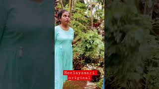 മുടി കറുപ്പിക്കാൻ നീലയമരി എണ്ണയിൽ ചേർക്കുന്നത് ഇതാണ്