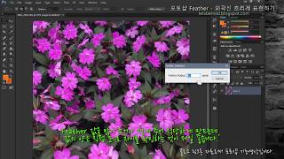 포토샵 feather - 가장자리 흐리게 표현하는 방법.