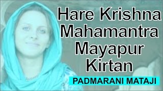 Padmarani Mataji Singing Hare Krishna Mahamantra Mayapur Kirtan Mela 2015 Day 3