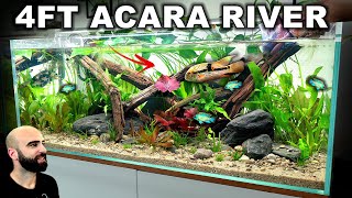 I Made a Realistic Aquarium For My Pet Fish - EPIC 4ft Aquascape Tutorial