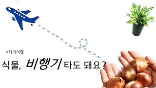 식물 검역법 총 정리, 휴대 가능 수량, 식물 방역법 정리