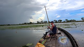 বড়শি দিয়ে বিলের বড় মাছ ধারার জাদুকরী টোপ ও চার | Catching Big Fish by Hook