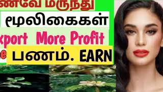 #besttime,How to High Demand High Profit Money at Home :  Herbals