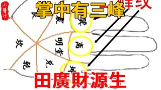 “掌中有三峰，田廣財源生”，三峰指的是什麼？你有嗎？#感情 #風水 #推薦 #奇門遁甲