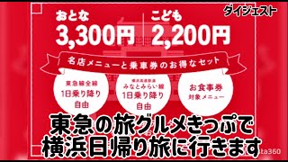 【旅グルメきっぷ】東急電鉄のお得きっぷを3300円で購入し、渋谷から横浜へ、また中華街の料理を頂いてきましたので、それを動画にてご紹介いたします。