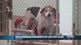 Roanoke Spca Scam Alert