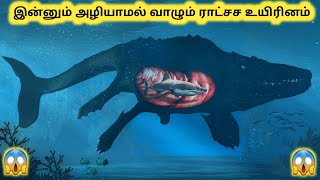 அழியாமல் வாழும் ராட்சச உயிரினம் || Most Dangerous Sea Creatures || Tamil Info Share