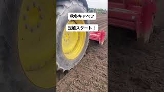 秋冬キャベツの定植始まりました！！🎥動画提供🎥太陽ファームグループさん。（BGM編集済み）#きゃべつ #キャベツ #農業機械 #農家 #農業女子 #農girl農life