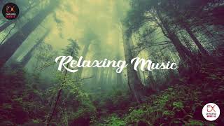 Relaxing Music-Dhrupad Music | Music for meditation