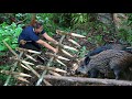 Skills for Setting Traps, Catching Wild Boars, and Hunting Birds. Natural Survival Skills