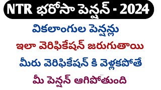 NTR Bharosha pension status|ntr bharosa pension 2024|ntr bharosa pension scheme|ap new pension 2024