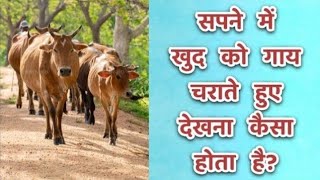 सपने में गाय चराना कैसा होता है| Sapne me Gaay charana| grazing/petting a cow in dream in hindi