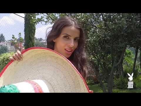 Download Mexico Sex Video 81