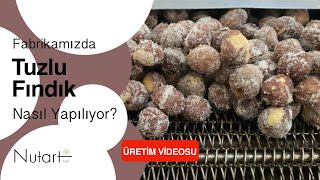 Fabrikamızda tuzlu fındık nasıl yapılıyor?