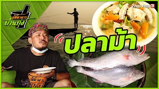ปลาม้า | ภัตตาคารบ้านทุ่ง