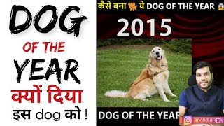 साल के आखिरी दिन में देखो 👉 Dog of the Year 🔥 क्या ऐसा कोई 2020 में भी है 🤔 #shorts