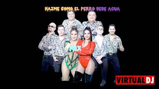 MIX - HAZME COMO EL PERRO BEBE AGUA - VARIADITOS -  2024 - DJ GABRIEL OFICIAL