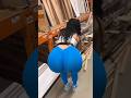 show your booty shape #bigo live no bra no panty challenge wetlook shake like this