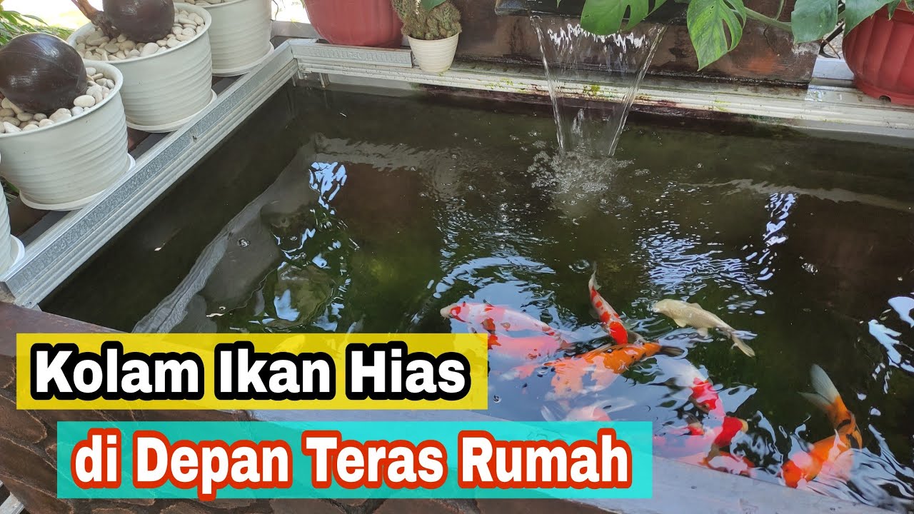 INSPIRASI KOLAM IKAN HIAS DI TERAS RUMAH - YouTube