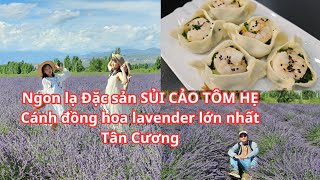 Trung Quốc du ký @9: NGON LẠ LẮM Sủi cảo tôm hẹ, ĐẸP QUÁ CHỪNG vườn hoa Lavender lớn nhất Tân Cương