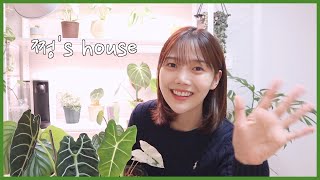 [쩡's house] ENG| 쩡이가 추천하는 5가지 이쁜 식물🌿🌿🌿(feat. 쩡이를 식물의 세계로 빠지게 해준 식물은!??)