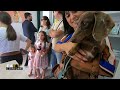 ✅  Battipaglia, inaugurato l'ambulatorio veterinario |SUD TV 114|