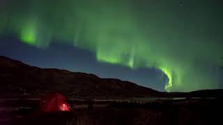 Nordlys - live (Ynglesdalen)