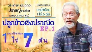 [ข้าว 1ไร่ 7 ตัน Ep.1] ปลูกข้าวเชิงปราณีต 1 ไร่ได้ 7 ตัน เหตุผล ทำได้ไง ทำอย่างไร เป้าหมาย